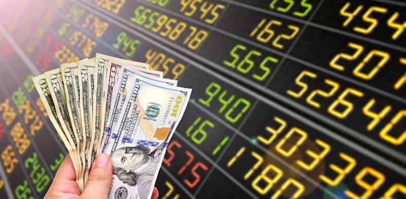 לגדר או להיות חשוף למט''ח? / צילום: Shutterstock לגדר או להיות חשוף למט''ח? / צילום: Shutterstock