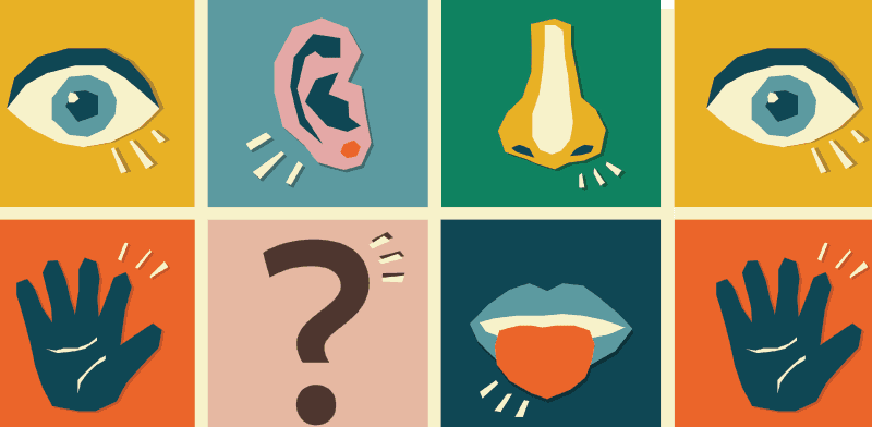 חזית המדע. איך פועל החוש השישי / צילום: Shutterstock חזית המדע. איך פועל החוש השישי / צילום: Shutterstock