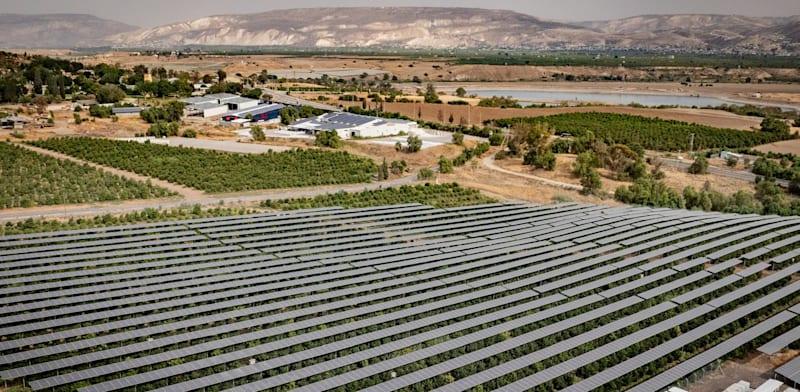 פאנלים סולאריים מעל שדה חקלאי / צילום: אמיר טרקל פאנלים סולאריים מעל שדה חקלאי / צילום: אמיר טרקל