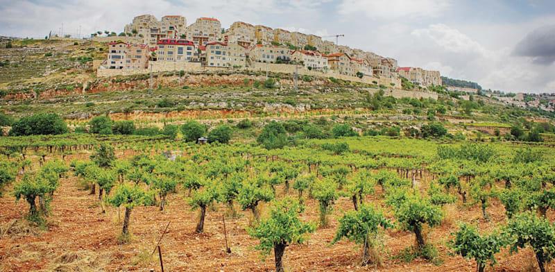 היישוב אפרת. שווי הבית עלה ל־7 מיליון / צילום: Shutterstock היישוב אפרת. שווי הבית עלה ל־7 מיליון / צילום: Shutterstock