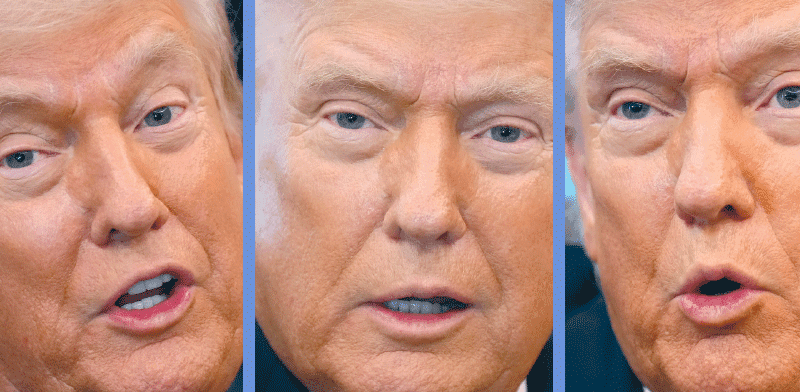 דונלד טראמפ / צילום: ap, Jacquelyn Martin דונלד טראמפ / צילום: ap, Jacquelyn Martin